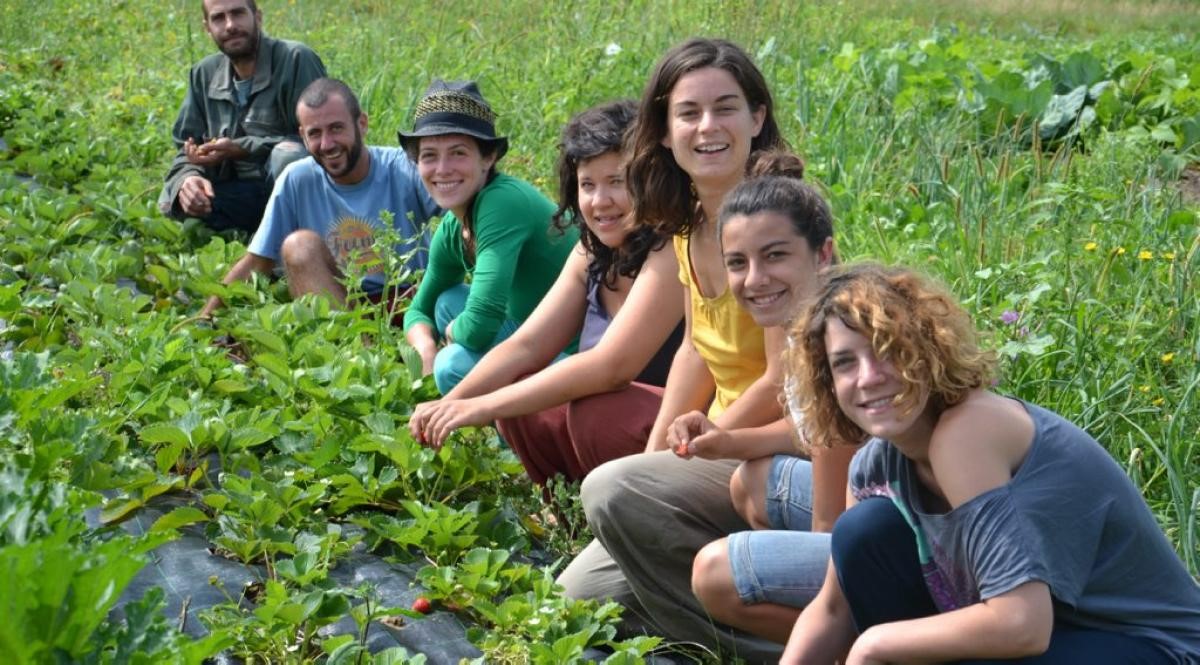 Vivez l’expérience du woofing avec des producteurs et des agriculteurs