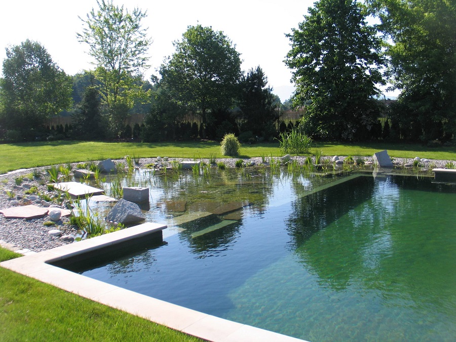 Piscine naturelle