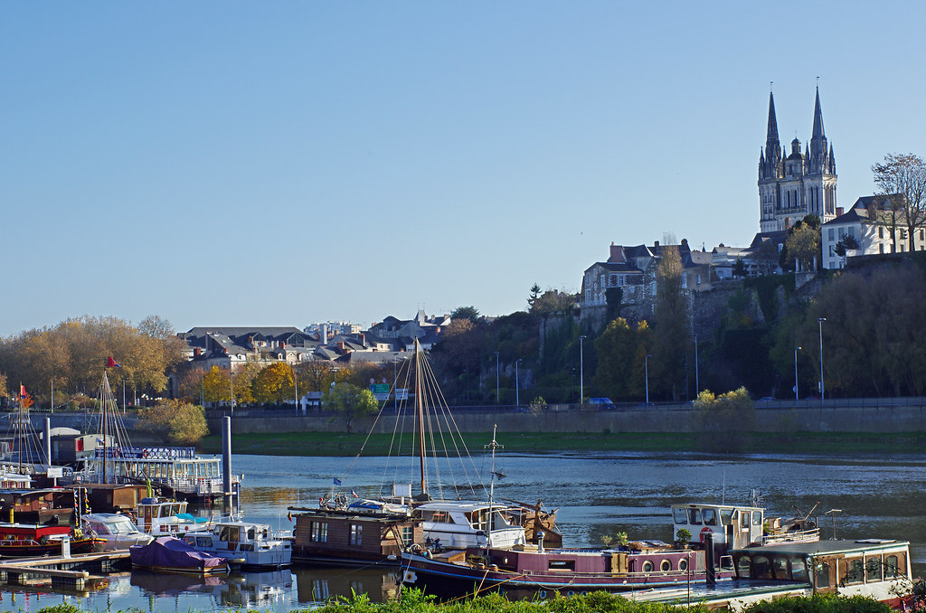 Spécialité angers