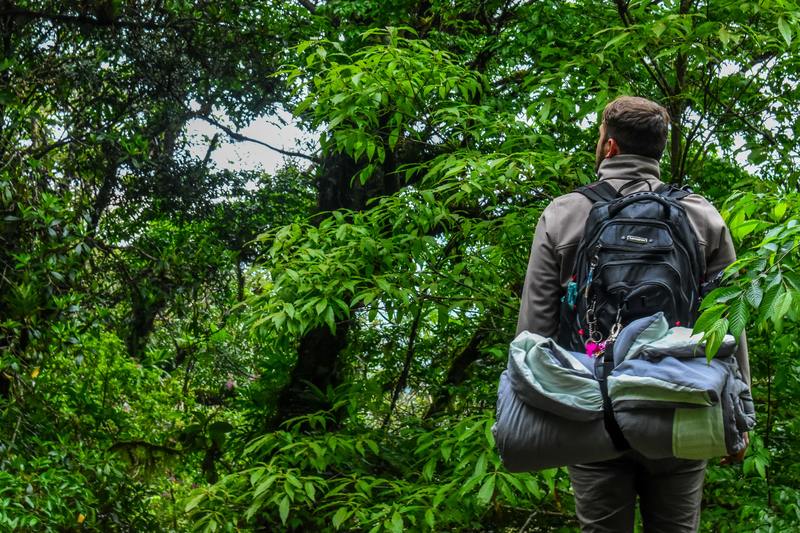 Vacances vertes au camping en Vendée : que choisir ?