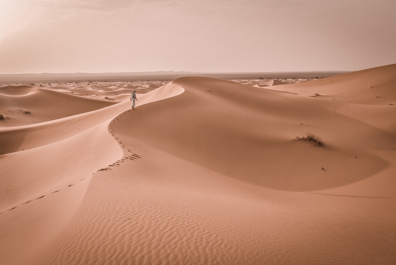 voyage désert marocain
