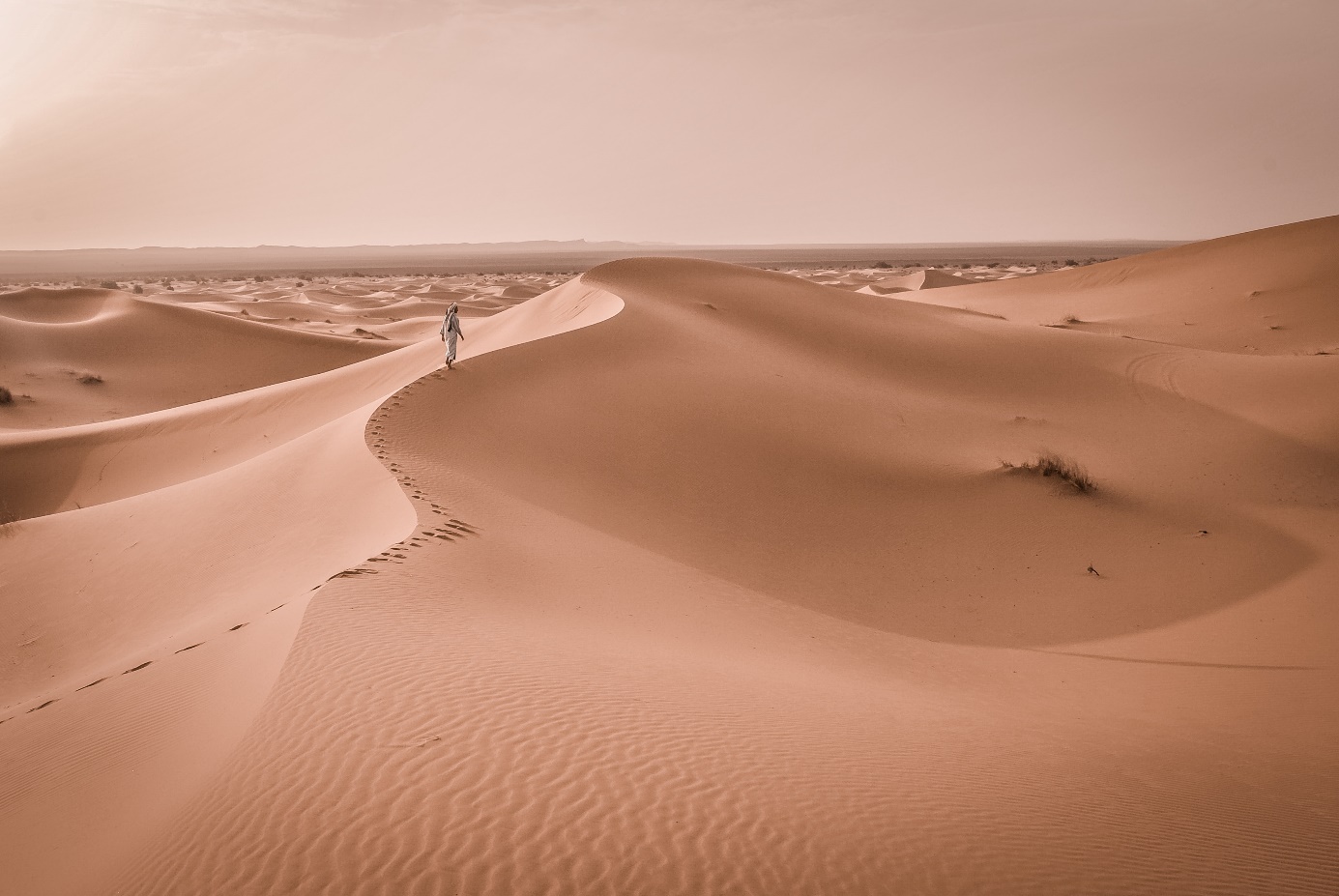 Un voyage d’aventure dans le désert Marocain