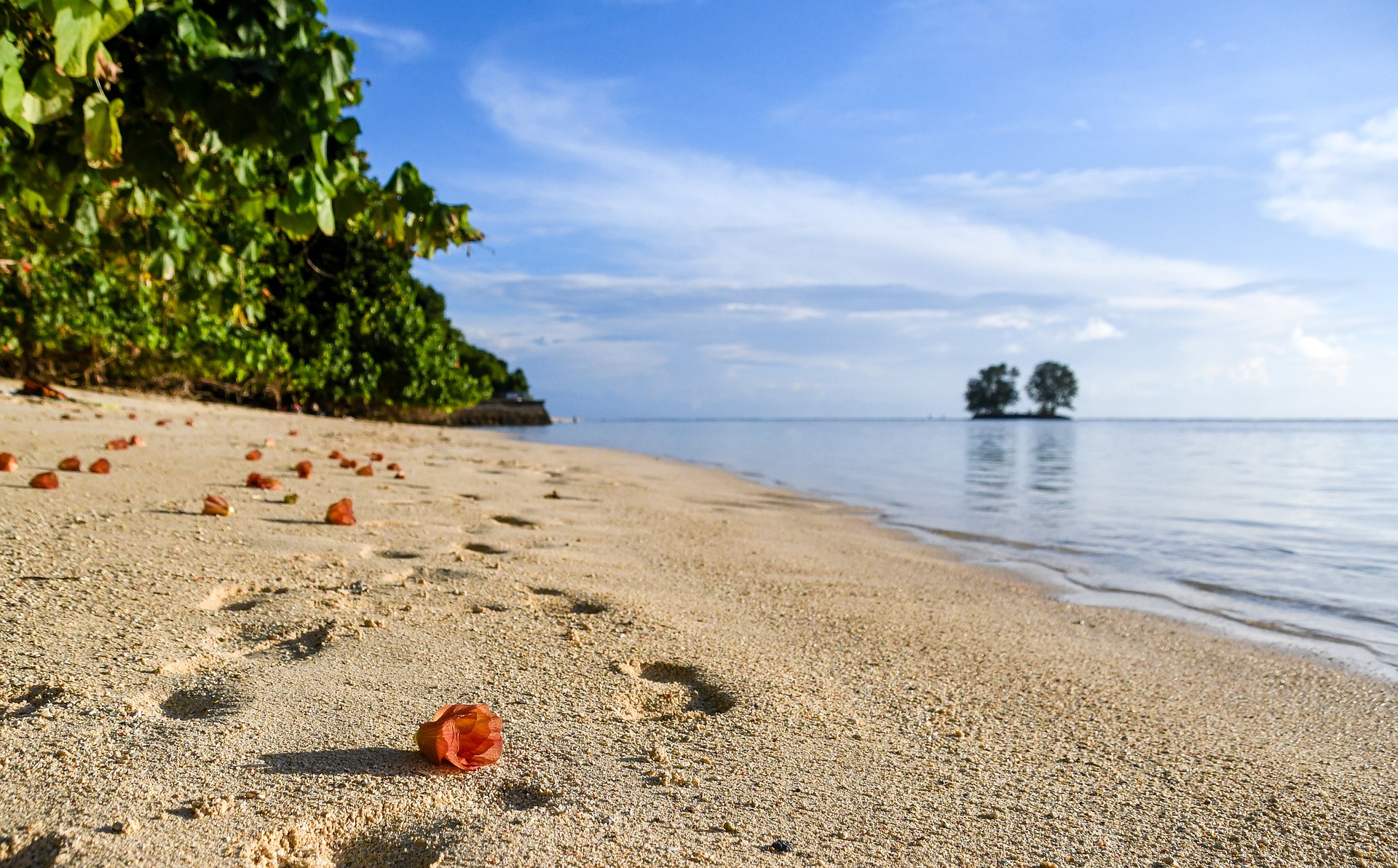 Voyage de noces aux Seychelles : 3 activités à privilégier