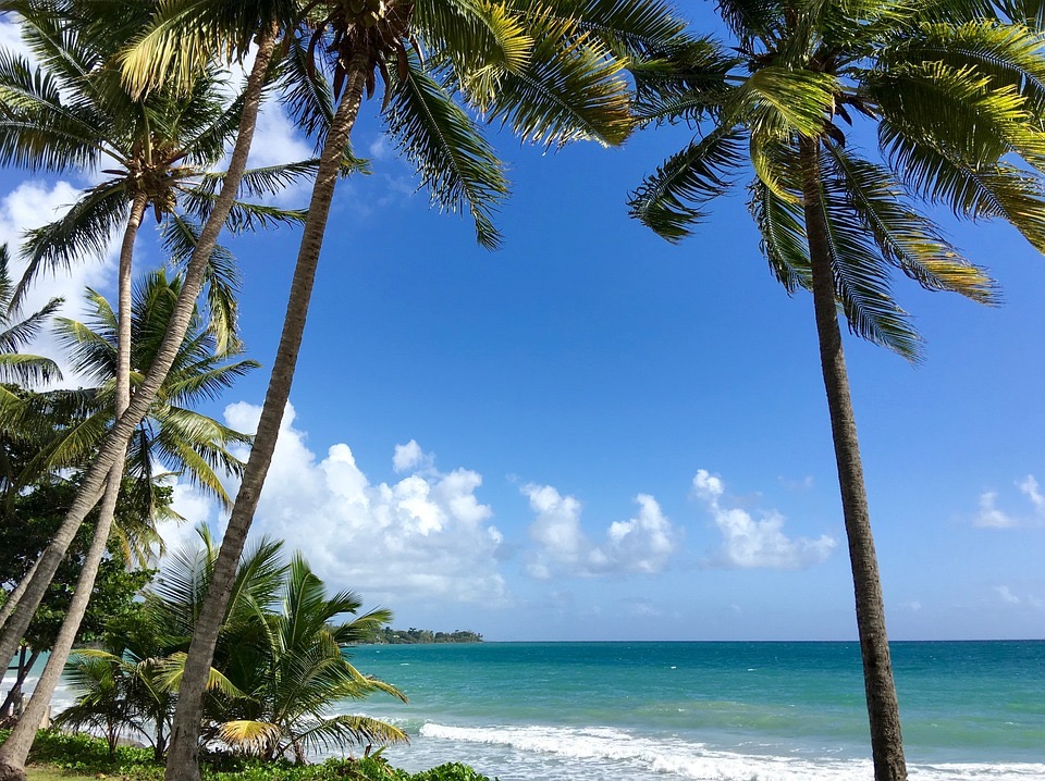 croisière martinique