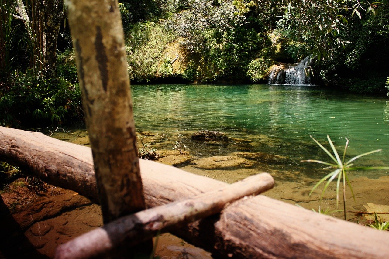 Cuba : un arrêt obligatoire pour les adeptes de la nature