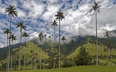 Les parcs à absolument voir en Colombie