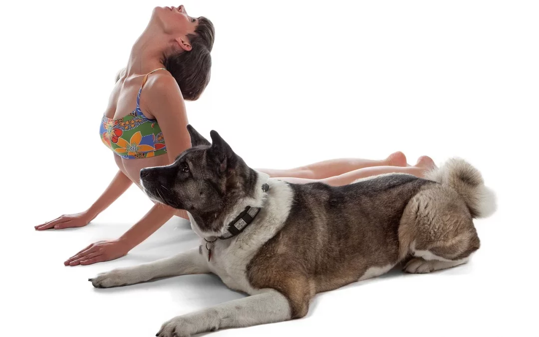 pets yoga