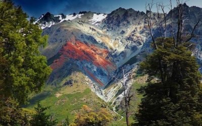 Voyager en Patagonie à la découverte du parc de Pumalin