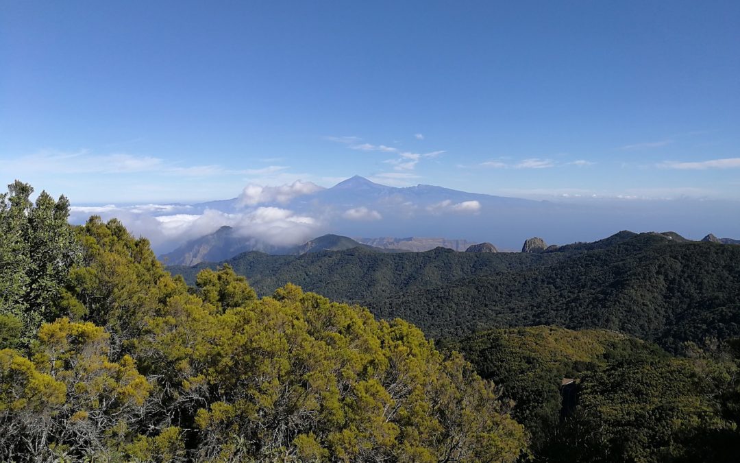 Voyager aux Canaries