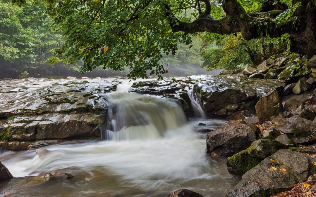 La Roumanie une destination de rêve pour les amoureux de la nature