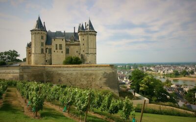 Les secrets cachés des caves de Saumur : une exploration des trésors souterrains